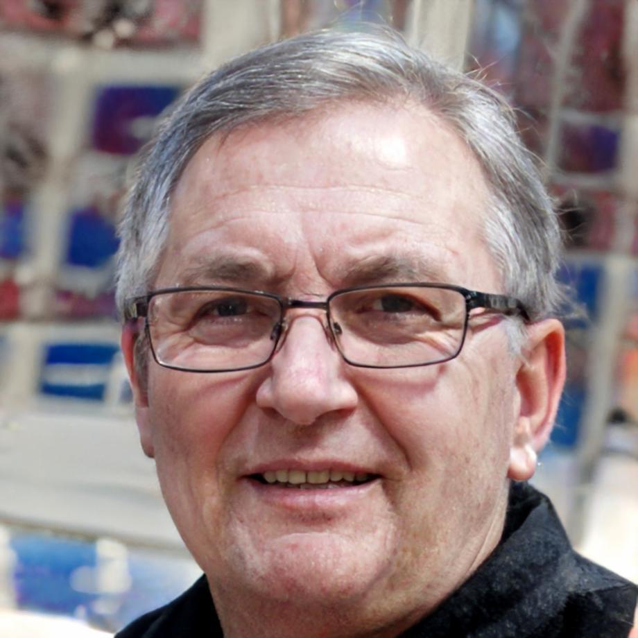 Director metodológico de drexalianova